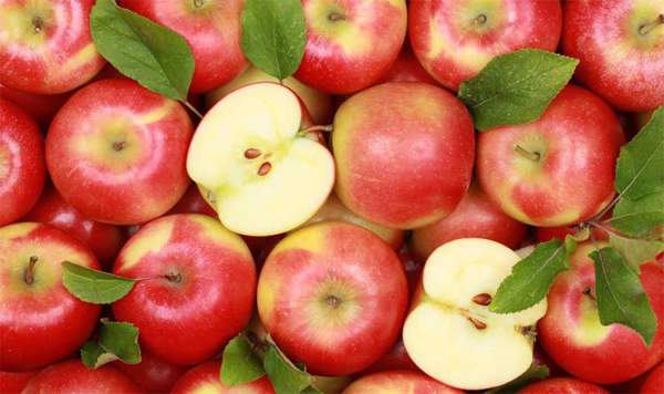 Những tác dụng tuyệt vời cho sức khỏe của trái táo 2