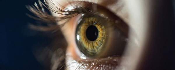 Chuyện gì sẽ xảy ra nếu mắt bạn mất đi tròng đen?