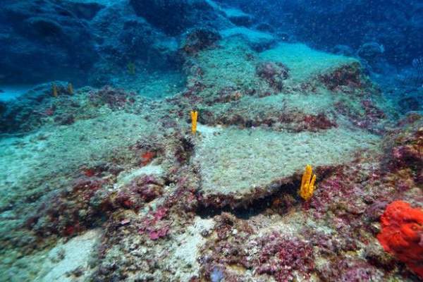 Kinh ngạc phát hiện xác tàu đắm “cổ nhất thế giới“ ở Thổ Nhĩ Kỳ 3