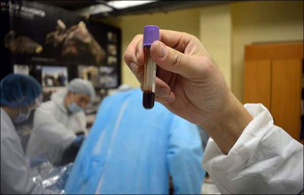 Tìm thấy máu tươi có thể giúp hồi sinh xác ướp sinh vật 42.000 năm tuổi 2
