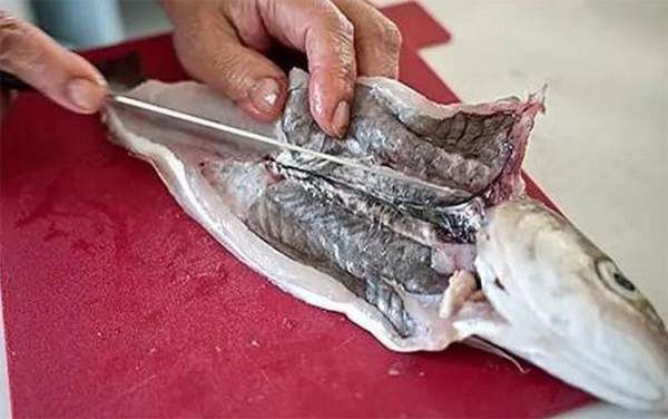7 bộ phận của cá nhiều người tranh ăn nhưng có thứ gây chết người nhanh hơn ung thư 4