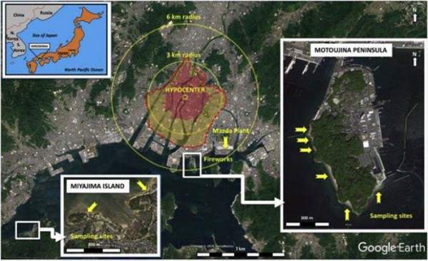 "Cơn mưa thủy tinh" đổ xuống bãi biển Hiroshima 2