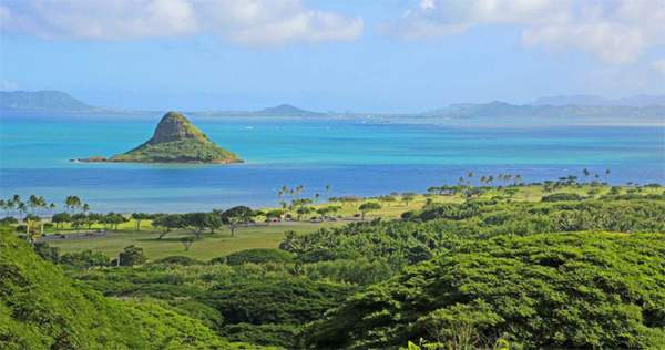 Các nhà khoa học khám phá ra "siêu san hô" tự phục hồi ở Hawaii