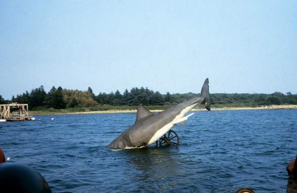 Một số bức ảnh lần đầu công bố về phim trường “Hàm cá mập” 8