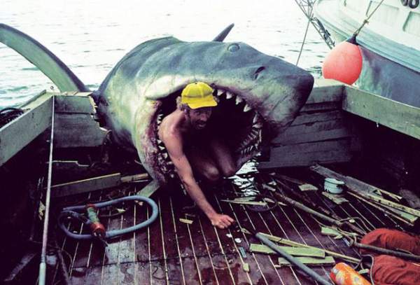 Một số bức ảnh lần đầu công bố về phim trường “Hàm cá mập” 7