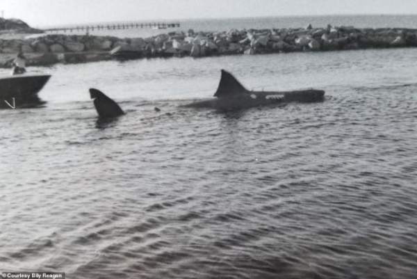 Một số bức ảnh lần đầu công bố về phim trường “Hàm cá mập” 3