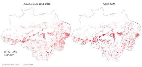 The New York Times: Phân tích ảnh vệ tinh đã chỉ ra chính xác thủ phạm gây cháy rừng Amazon 4