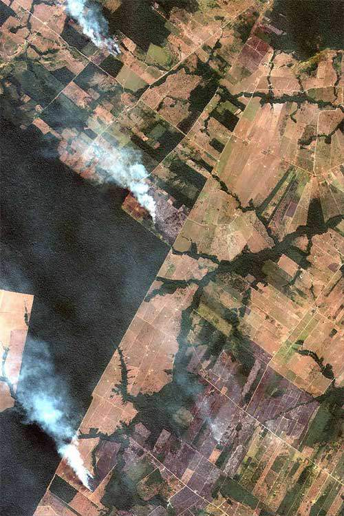 The New York Times: Phân tích ảnh vệ tinh đã chỉ ra chính xác thủ phạm gây cháy rừng Amazon 2