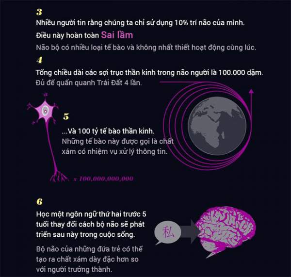 15 sự thật khó tin về não bộ 2