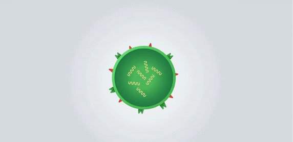 Những sự thật ít người biết về virus: Chúng đến từ đâu, lây lan và gây bệnh như thế nào? 2
