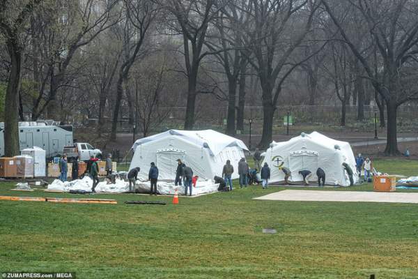 New York lập bệnh viện dã chiến trong công viên Central Park 2