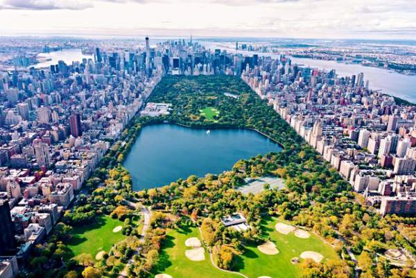 New York lập bệnh viện dã chiến trong công viên Central Park 9
