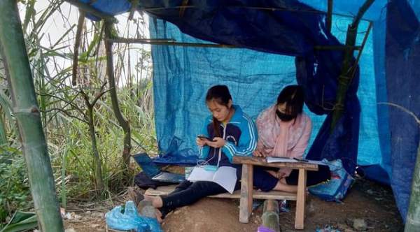 Xúc động hình ảnh nữ sinh dựng lều trên núi để học online ngày dịch