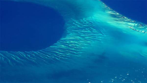 Có thứ gì đó bí ẩn đang... huýt sáo dưới biển Caribbean mà khoa học đang đau đầu tìm hiểu