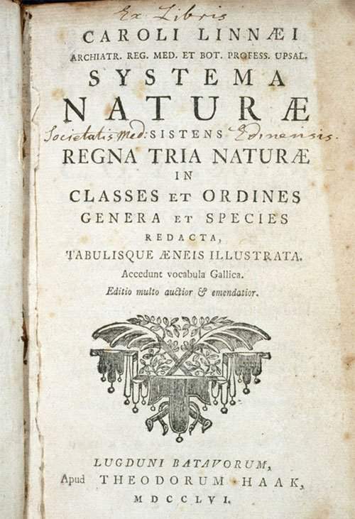 Carl Linnaeus - Người đặt nền móng cho hệ thống phân loại sinh học hiện đại 2