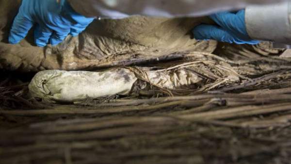 Giải mã xác ướp giám mục được chôn cùng một bào thai cách đây 350 năm 2