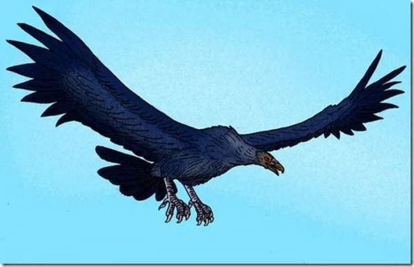 Top 10 loài chim tiền sử hung ác nhất trên đời 10