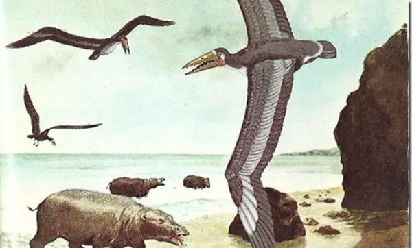 Top 10 loài chim tiền sử hung ác nhất trên đời 5