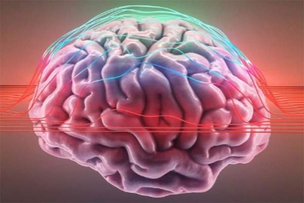 Khoa học tìm thấy tín hiệu lạ trong não người