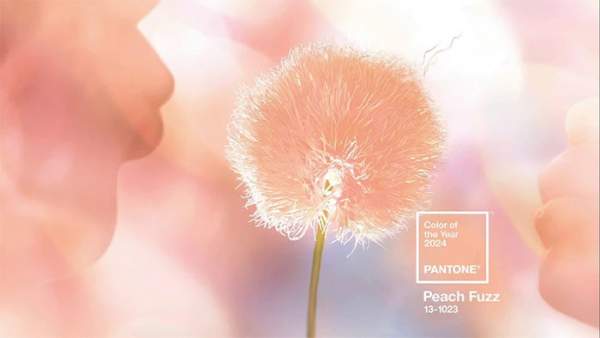 Pantone công bố màu của năm 2024: Đại diện cho lòng nhân ái, sự kết nối con người và sức khỏe tinh thần 3
